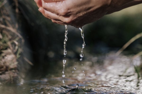 Sustainability at Weihrerhof – From the heart, with conviction